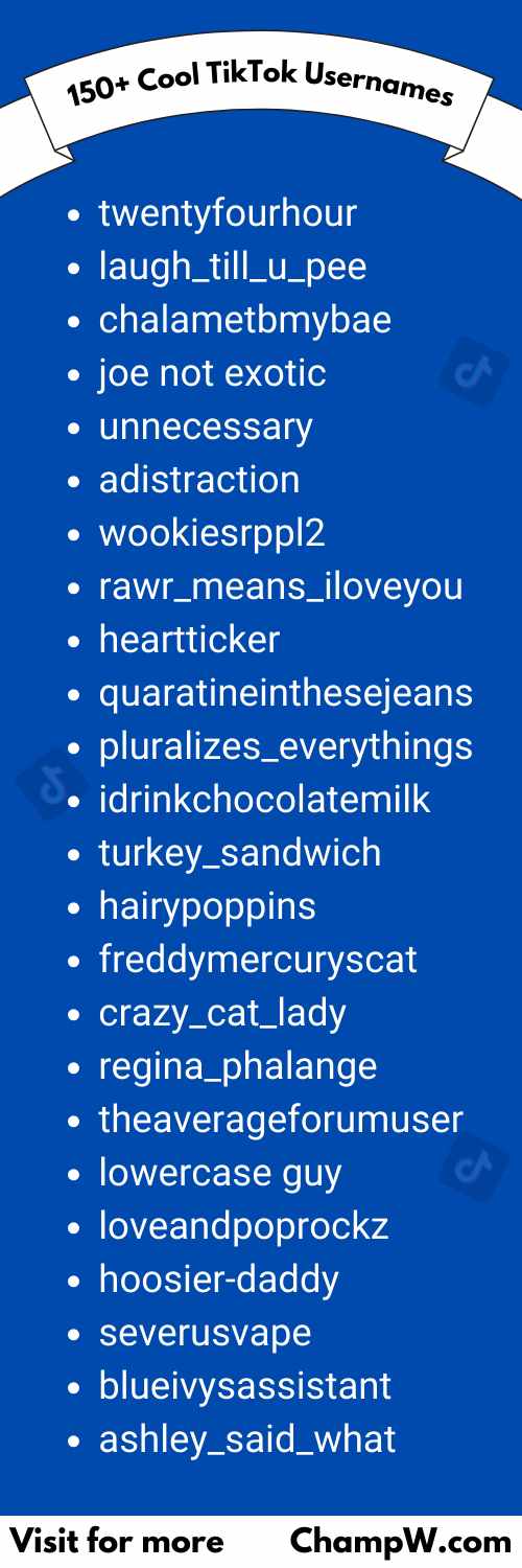 150+ Cool TikTok Usernames