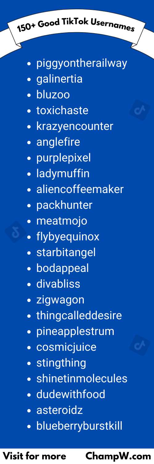 150+ Good TikTok Usernames Fans Will Love To Follow In 2024