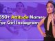 Attitude Names For Instagram For Girl