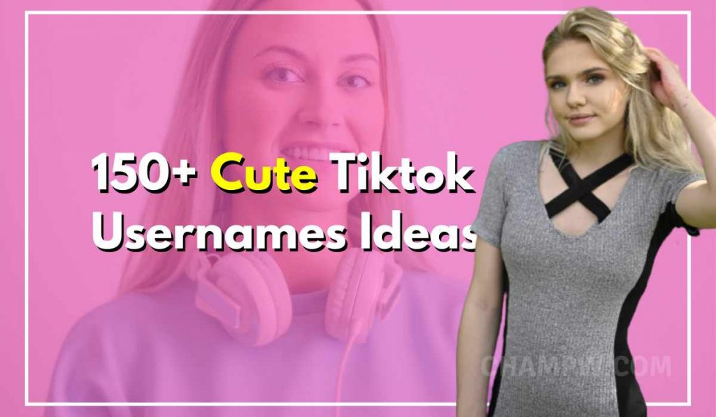 150+ Cute TikTok Usernames Charming Ideas To Gain Followers