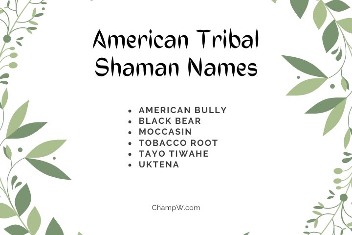 American Tribal Shaman Names 