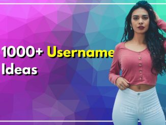 1000+ Username Ideas That Will Make You Stand Out From Crowd