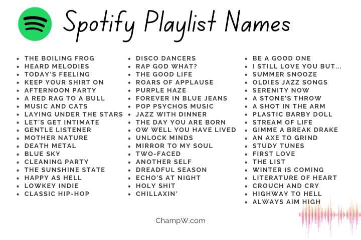 spotify playlist name ideas