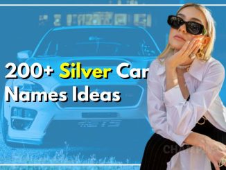 silver car names