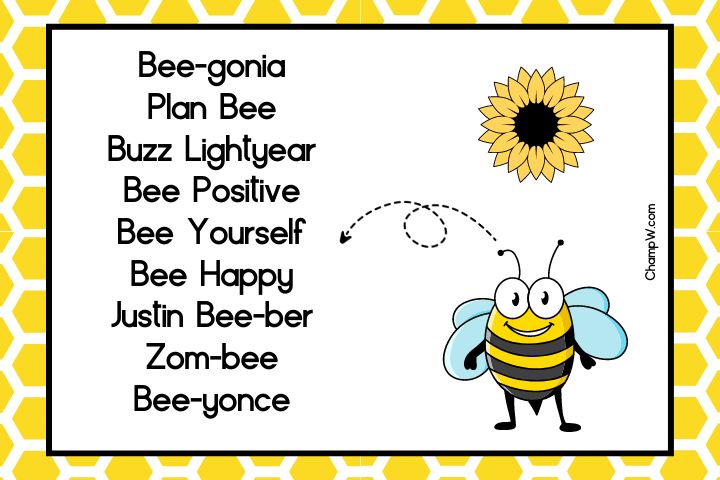 200+ Bee Nicknames Classic Ideas Everyone Will Love To Call