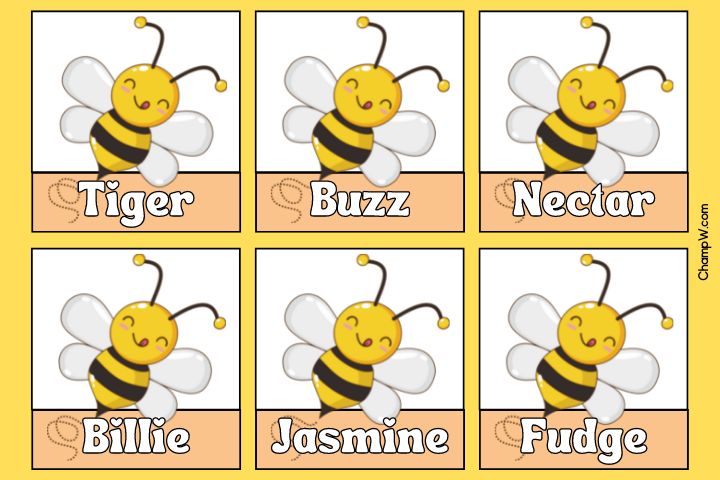 200+ Bee Nicknames Classic Ideas Everyone Will Love To Call