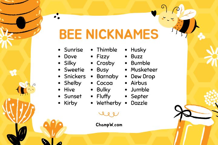 200+ Bee Nicknames Classic Ideas Everyone Will Love To Call