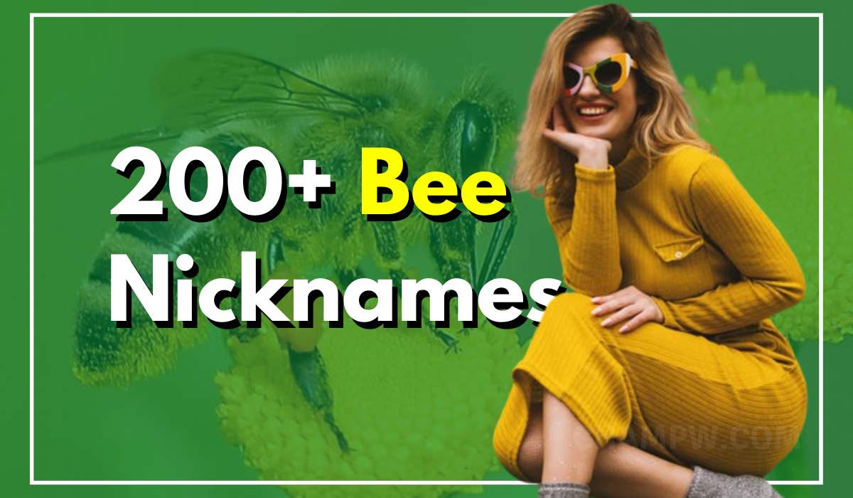 200+ Bee Nicknames Classic Ideas Everyone Will Love To Call