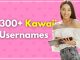 300+ Kawaii Usernames To Begin Your Cute Journey Of Success