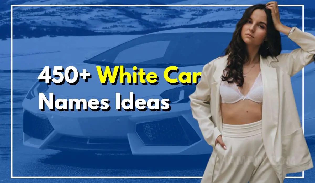 450 White Car Names That Are Catchy And Unique