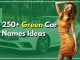 250+ Green Car Names Evergreen Ideas Never Go Out Of Fashion