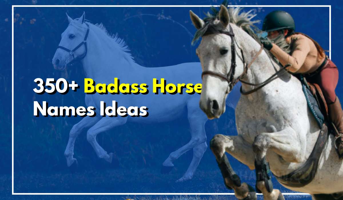 Badass Horse Names