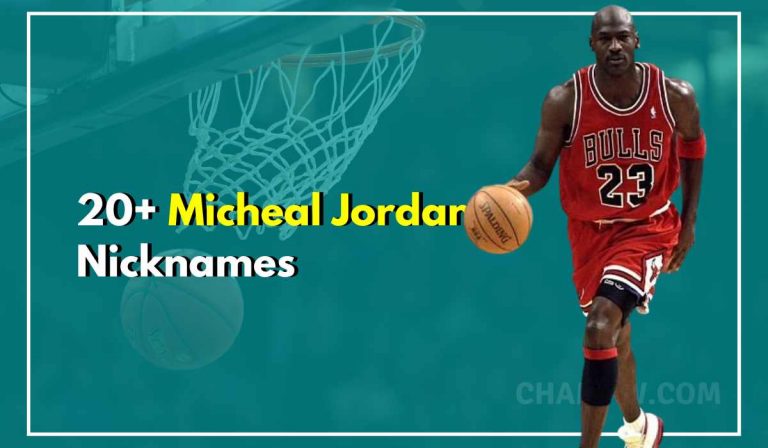 michael jordan titles