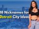 Nicknames for Detroit City