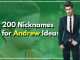 200 Nicknames for Andrew to Stop You Searching Further