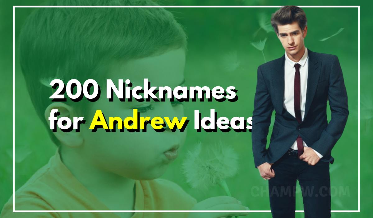 200 Nicknames for Andrew to Stop You Searching Further