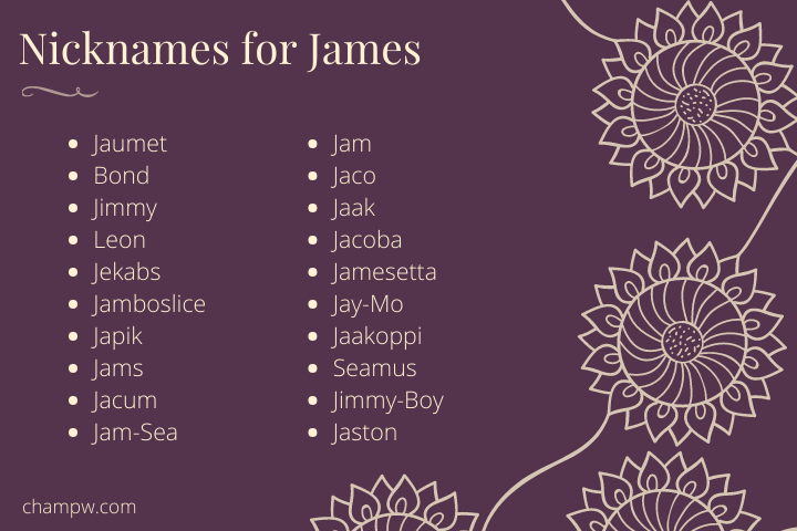 list of Nicknames for James