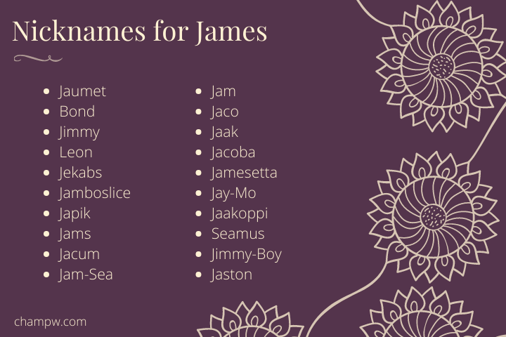 100+ Nicknames For James You May Have Never Heard Before