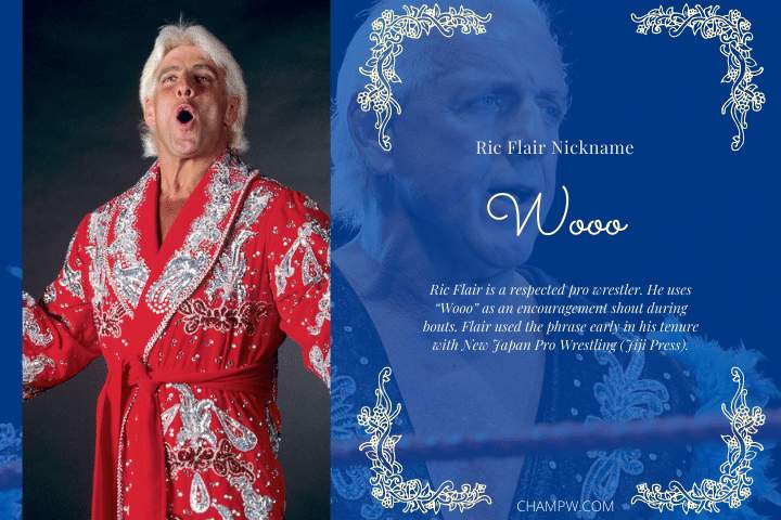 Rick flair nickname woo