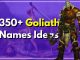 350+ Goliath Names- A Unique Name for Your Business