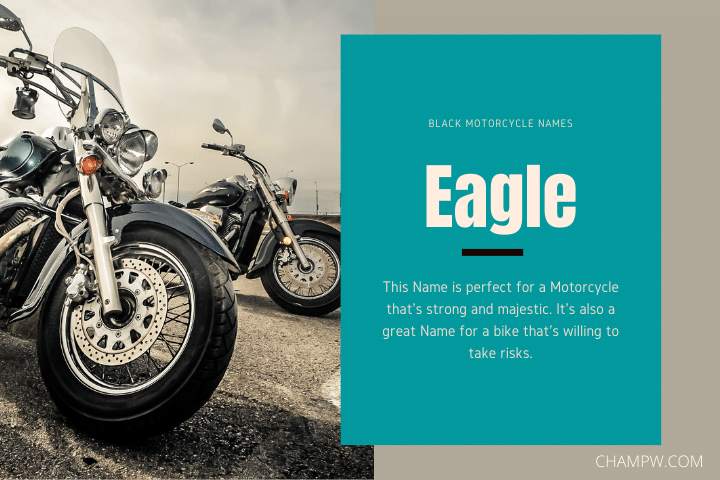 Eagle- Good Motorcycle Names