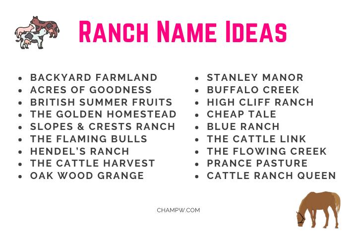Ranch Name Ideas