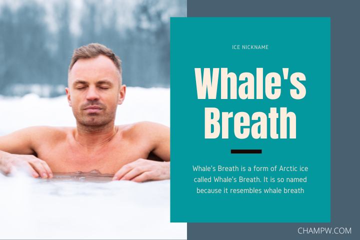 Whale's Breath