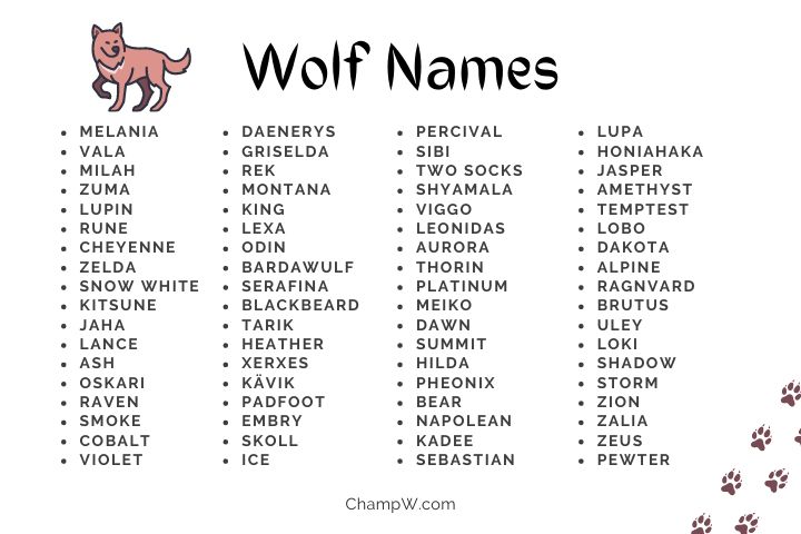 350+ Wolf Names Outstanding Ideas For Your Brave Lil Friend