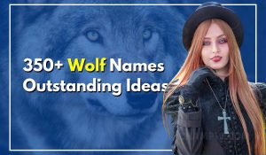 350+ Wolf Names Outstanding Ideas For Your Brave Lil' Friend