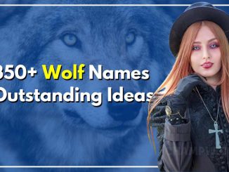 350+ Wolf Names Outstanding Ideas For Your Brave Lil' Friend