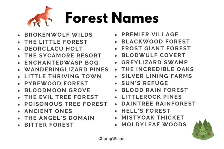 500+ Forest Names Beautiful Ideas For Your Perfect Storyline