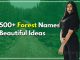 500+ Forest Names Beautiful Ideas For Your Perfect Storyline