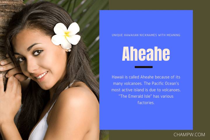 Aheahe- Unique Hawaiian Nicknames With Meaning