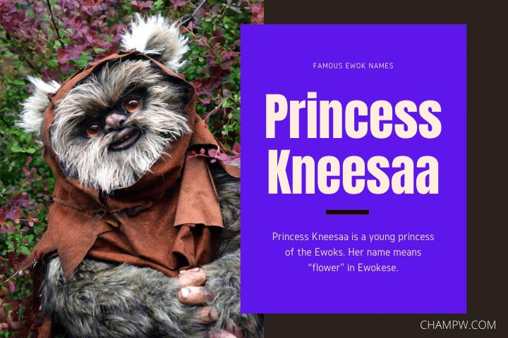 Princess Kneesaa