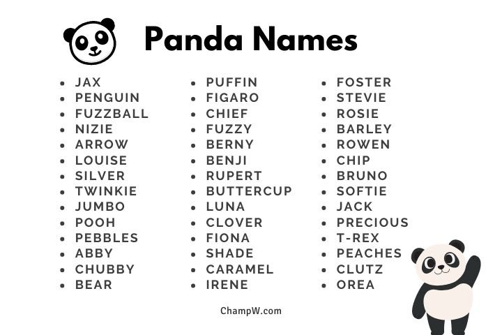 350+ Panda Names Gleeful Ideas For Your New Cute Little Pet