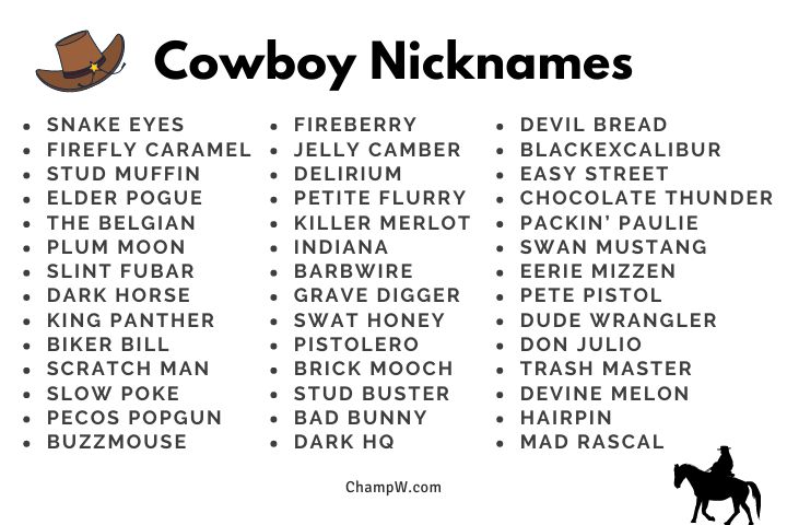 300+ Cowboy Nicknames New Ideas You Never Tried Yet