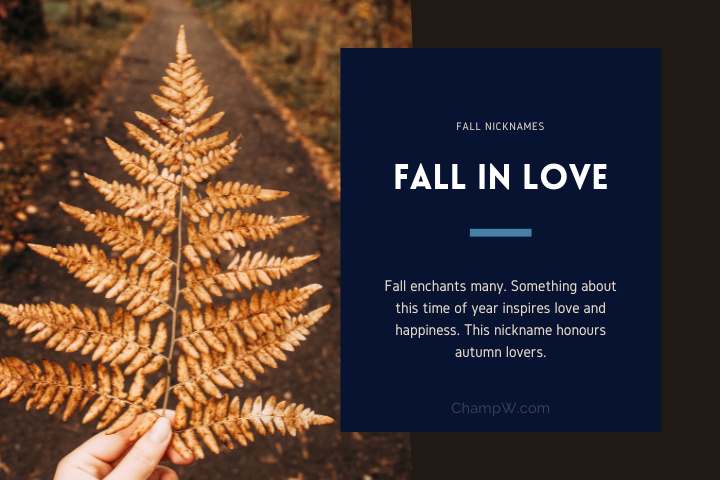 Fall in love