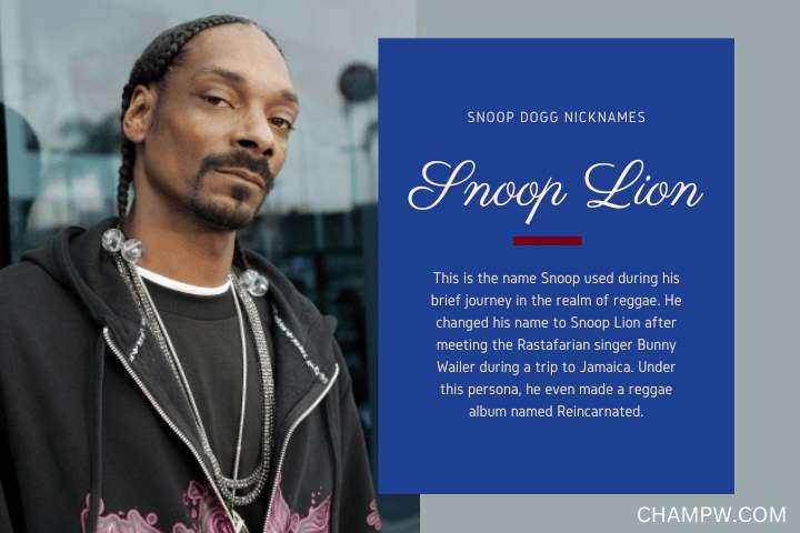 Snoop Lion