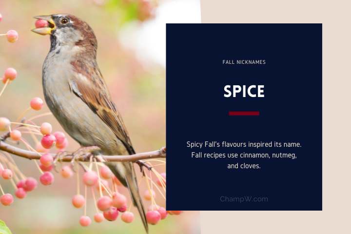 Spice