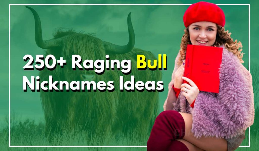 250+ Bull Nicknames And What They Mean