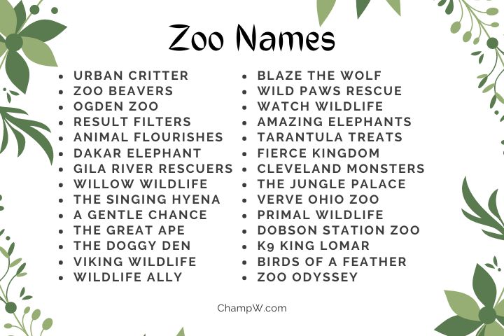 300+ Zoo Names Attractive Ideas For Getting More Viewers