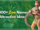 300+ Zoo Names Attractive Ideas For Getting More Viewers