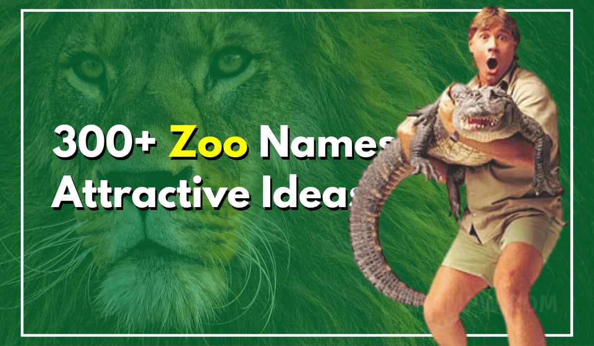 300+ Zoo Names Attractive Ideas For Getting More Viewers