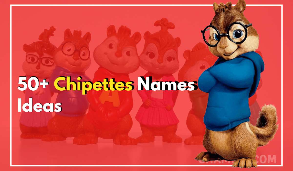 Chipettes Names