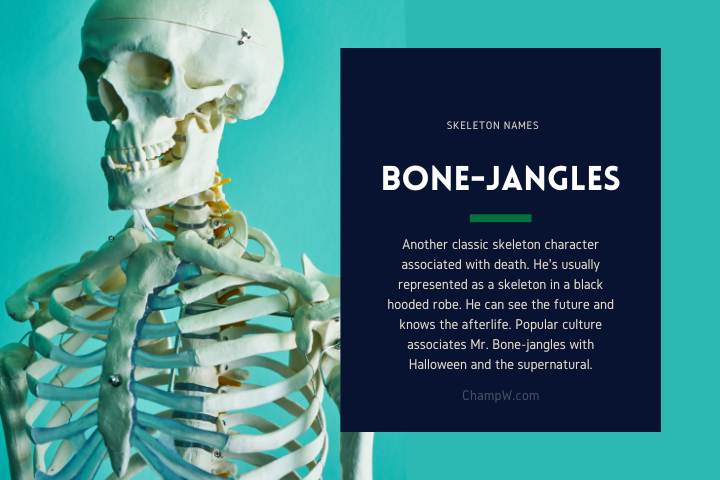 Bone-jangles