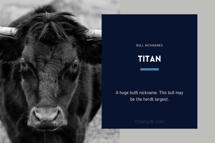 Titan