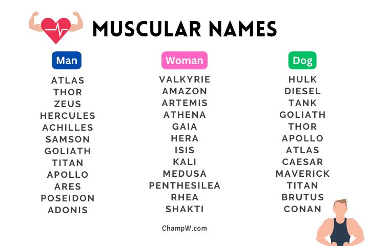 50+ New Muscular Names for Men, Women, and Dogs Just For You