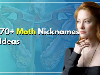 70+ Moth Nicknames The Shocking Truth You Should Know