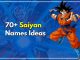 70+ Saiyan Names Ideas That You Can Pick For Your Child