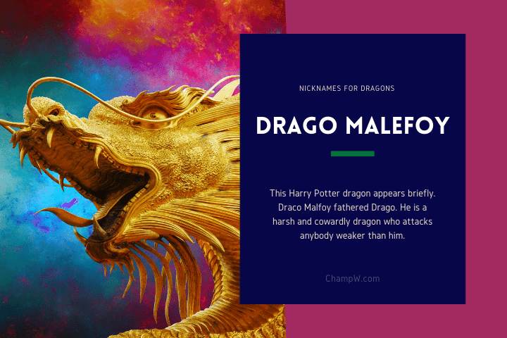 Drago Malefoy